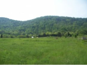 0 Shephards Chapel Road, Unit TR1 Rogersville, TN 37857 - Photo 4 of 18 Photo 4