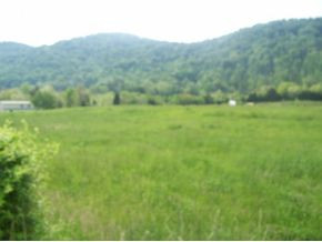 0 Shephards Chapel Road, Unit TR1 Rogersville, TN 37857 - Photo 7 of 18 Photo 7