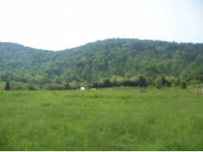 0 Shephards Chapel Road, Unit TR1 Rogersville, TN 37857 - Photo 8 of 18 Photo 8