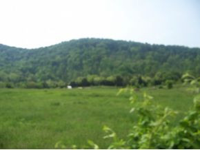 0 Shephards Chapel Road, Unit TR1 Rogersville, TN 37857 - Photo 10 of 18 Photo 10