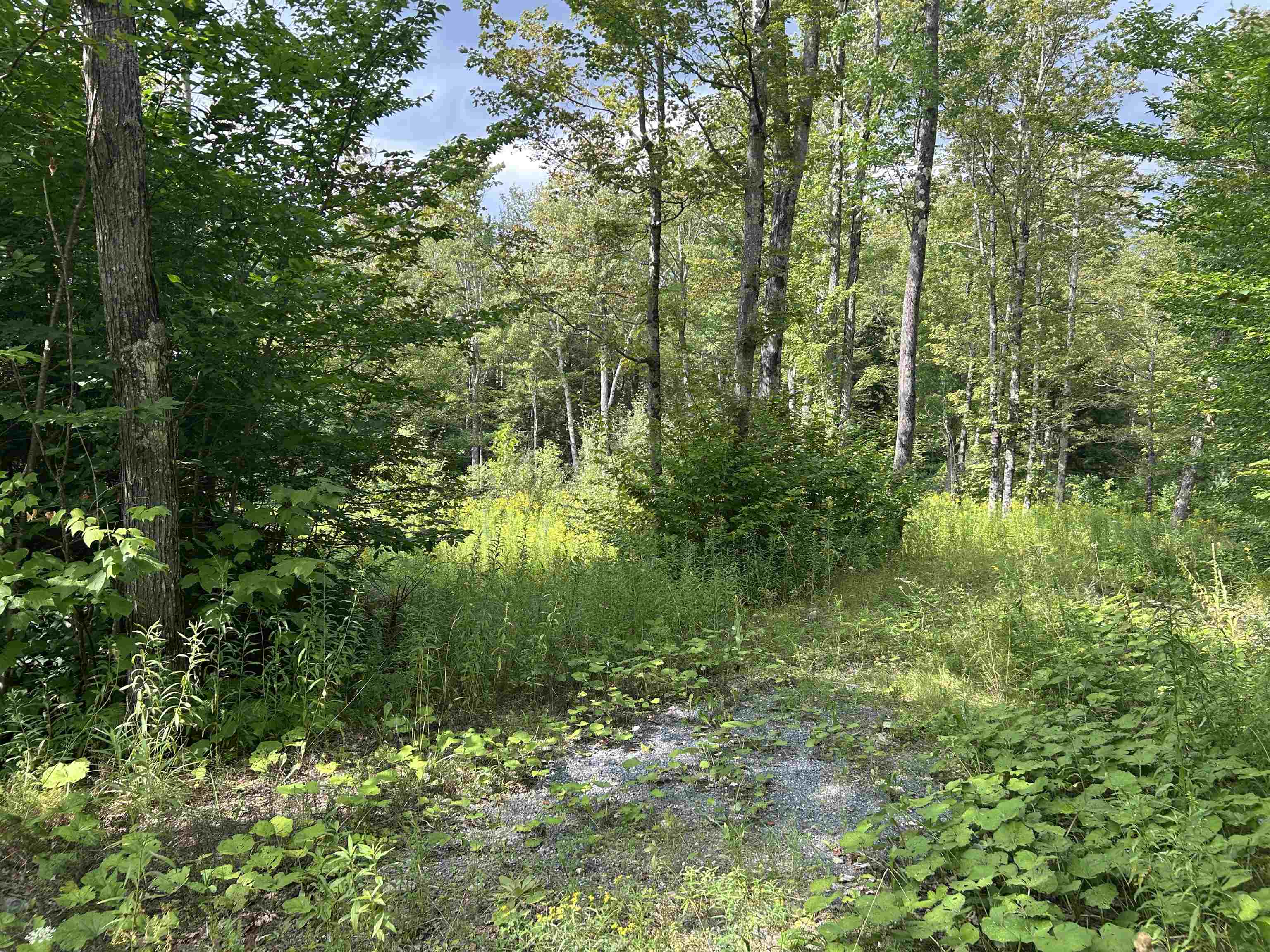 0 Stratton Gardens Road, Unit 10A 10B Winhall, VT 05340 - Photo 9 of 11 Gallery Image 9