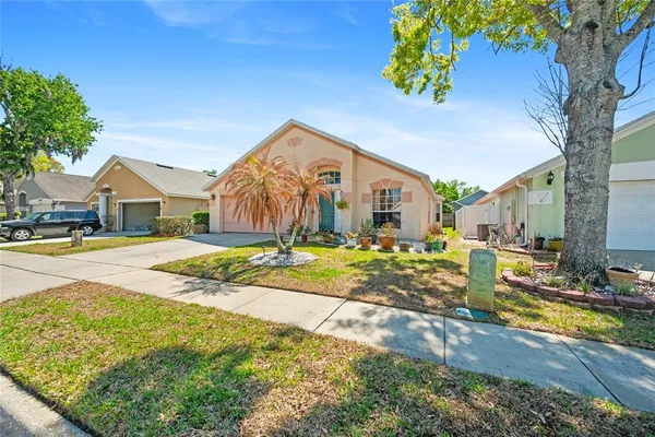 a view of backyard of the house