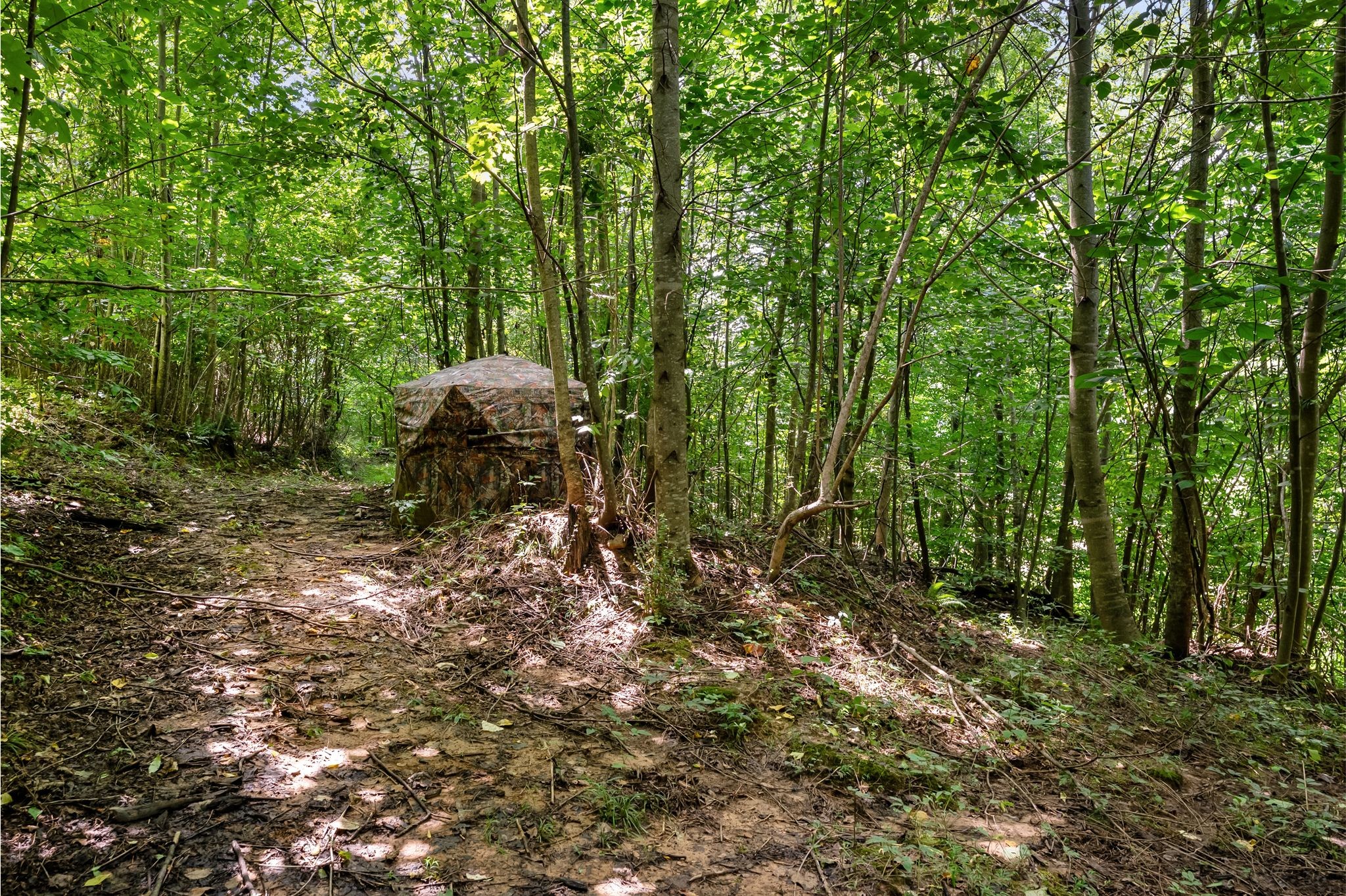 0 Sparkman Town-Bone Cave Road Doyle, TN 38559 - Photo 42 of 77 Gallery Image 42