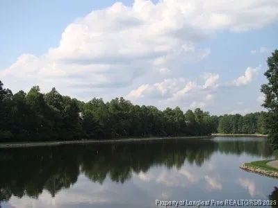 a backyard of a house with lots of green space and fountain