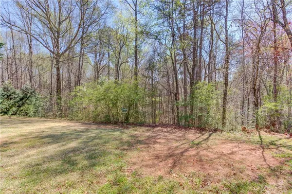 a view of a yard with trees