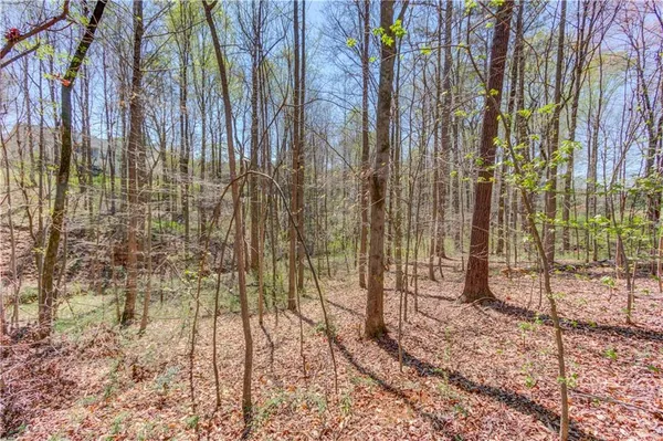 a view of a backyard of the house
