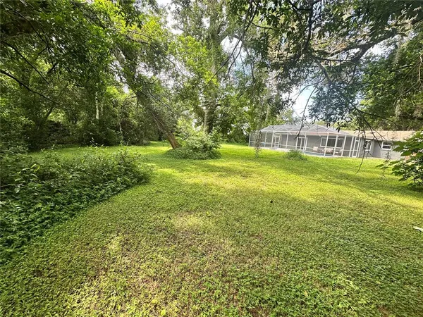 a view of a lush green space