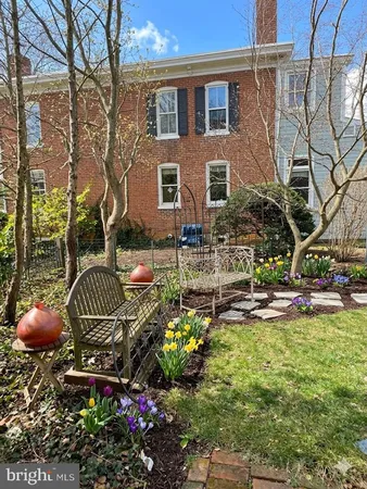 a view of a park with large trees