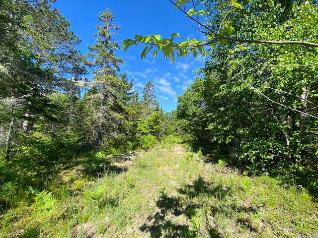 9600 North Whitefish Point Road Paradise, MI 49768 - Photo 8 of 16 Gallery Image 8