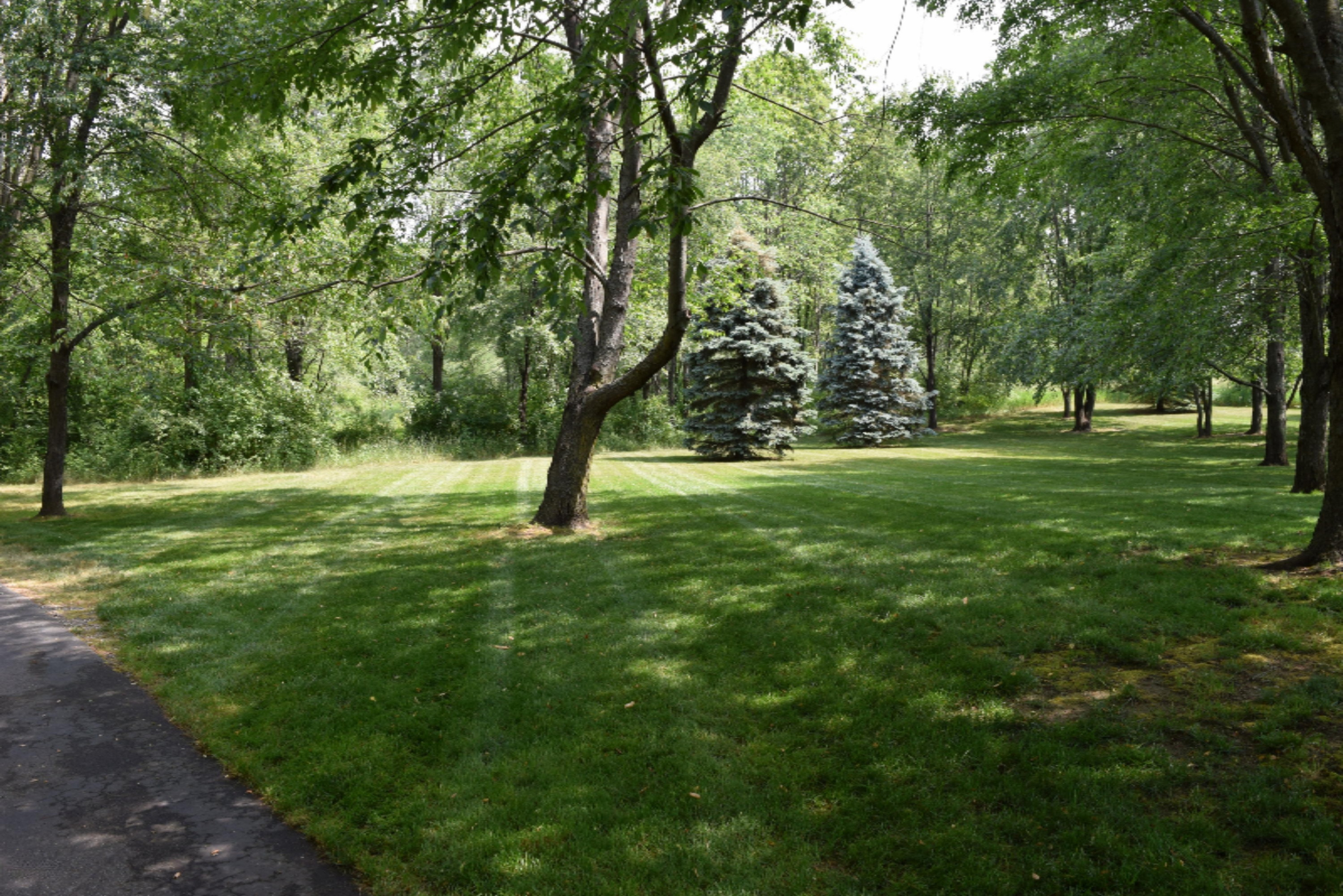16944 20 Mile Road Marshall, MI 49068 - Photo 54 of 61 DSC_0275