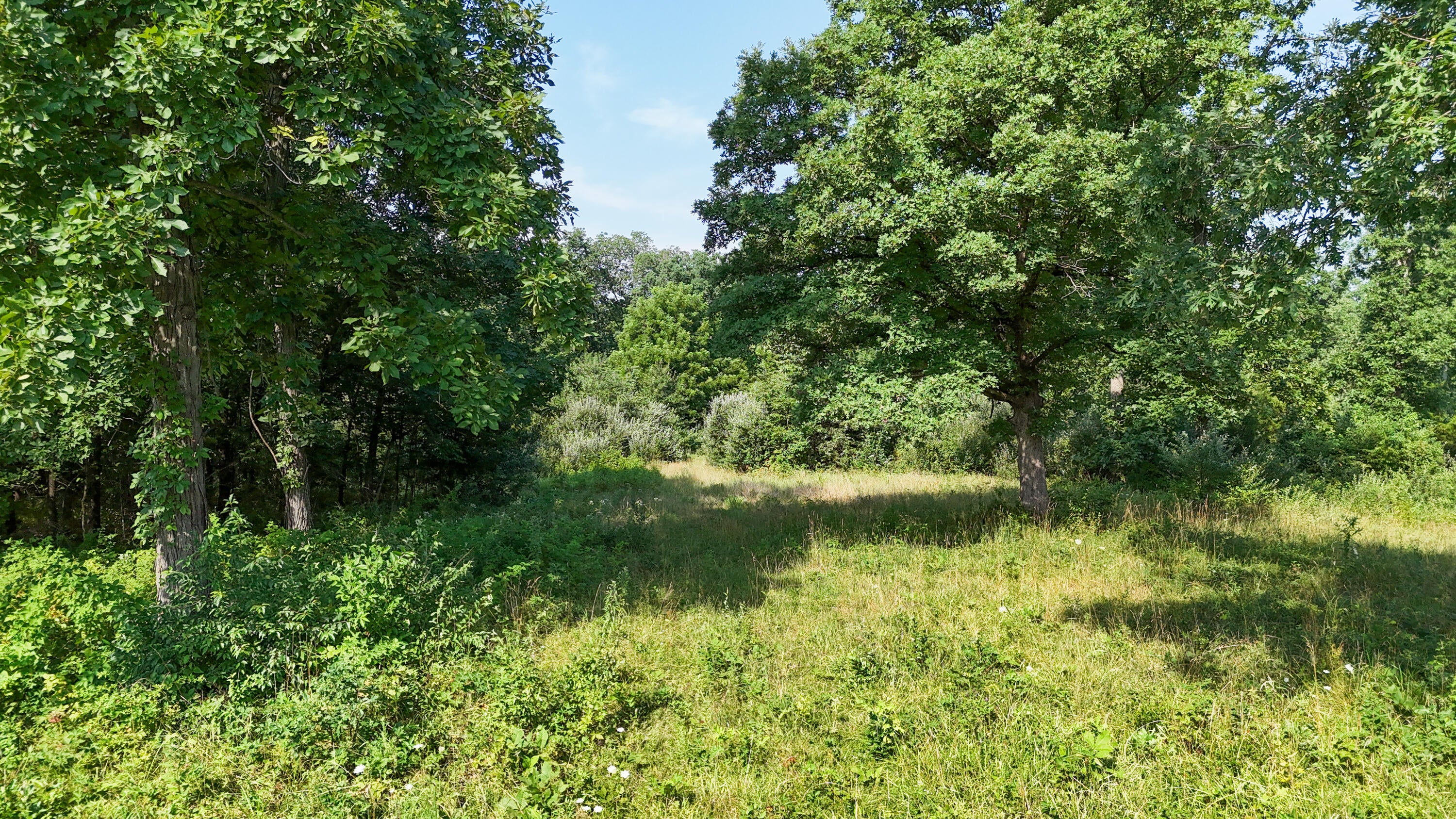 2320 County Road Moberly, MO 65270 - Photo 18 of 23 Gallery Image 18