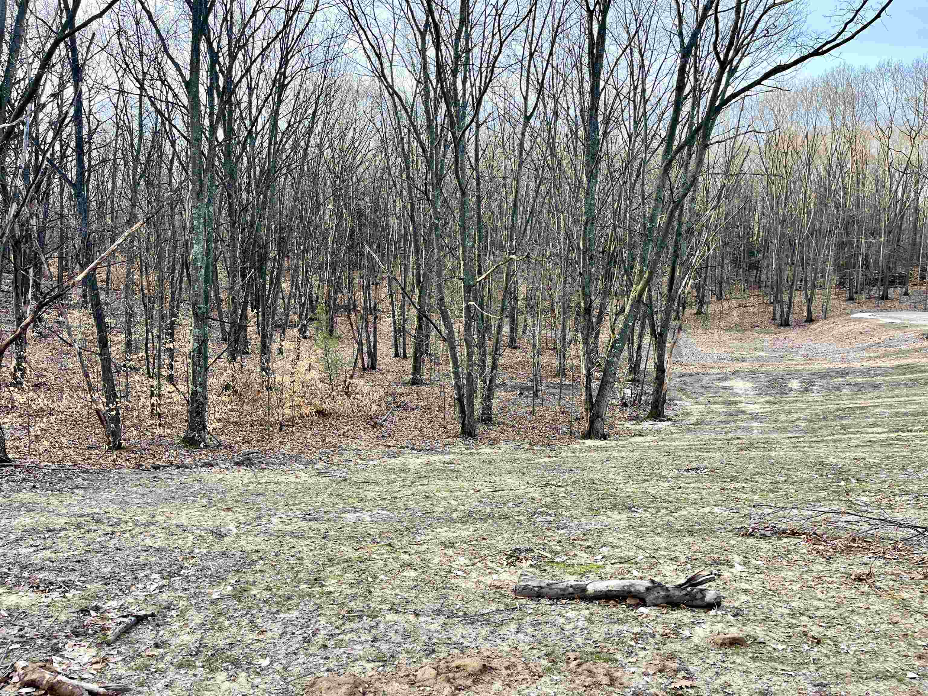Parcel D West Trumbull Road Maple City, MI 49664 - Photo 2 of 10