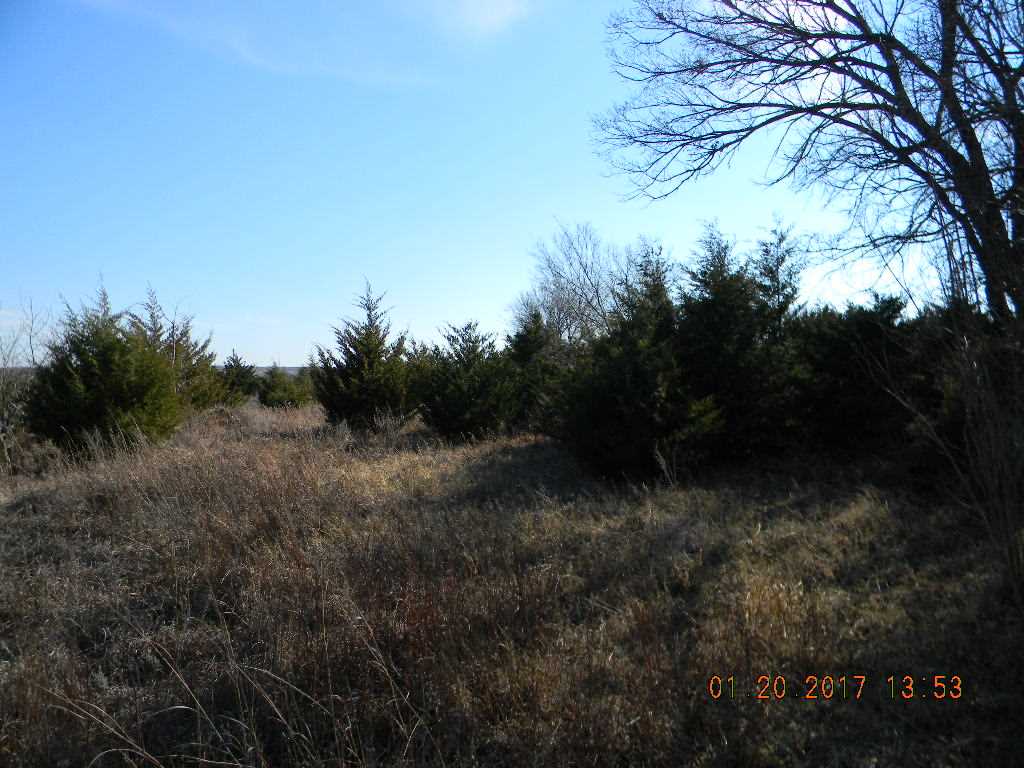 8102 South Sangre Road Stillwater, OK 74074 - Photo 7 of 13 Gallery Image 7