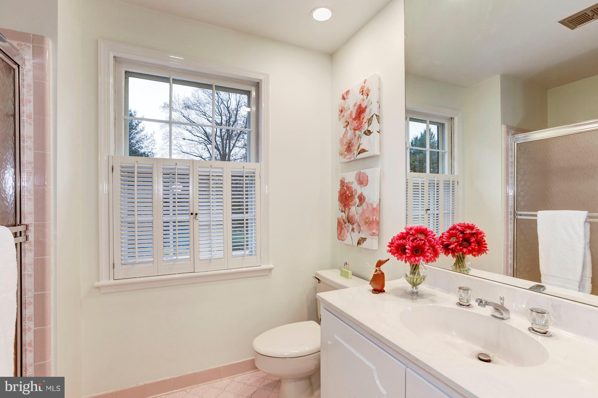 11000 Cripplegate Road Potomac, MD 20854 - Photo 28 of 44 a bathroom with a sink mirror and a window