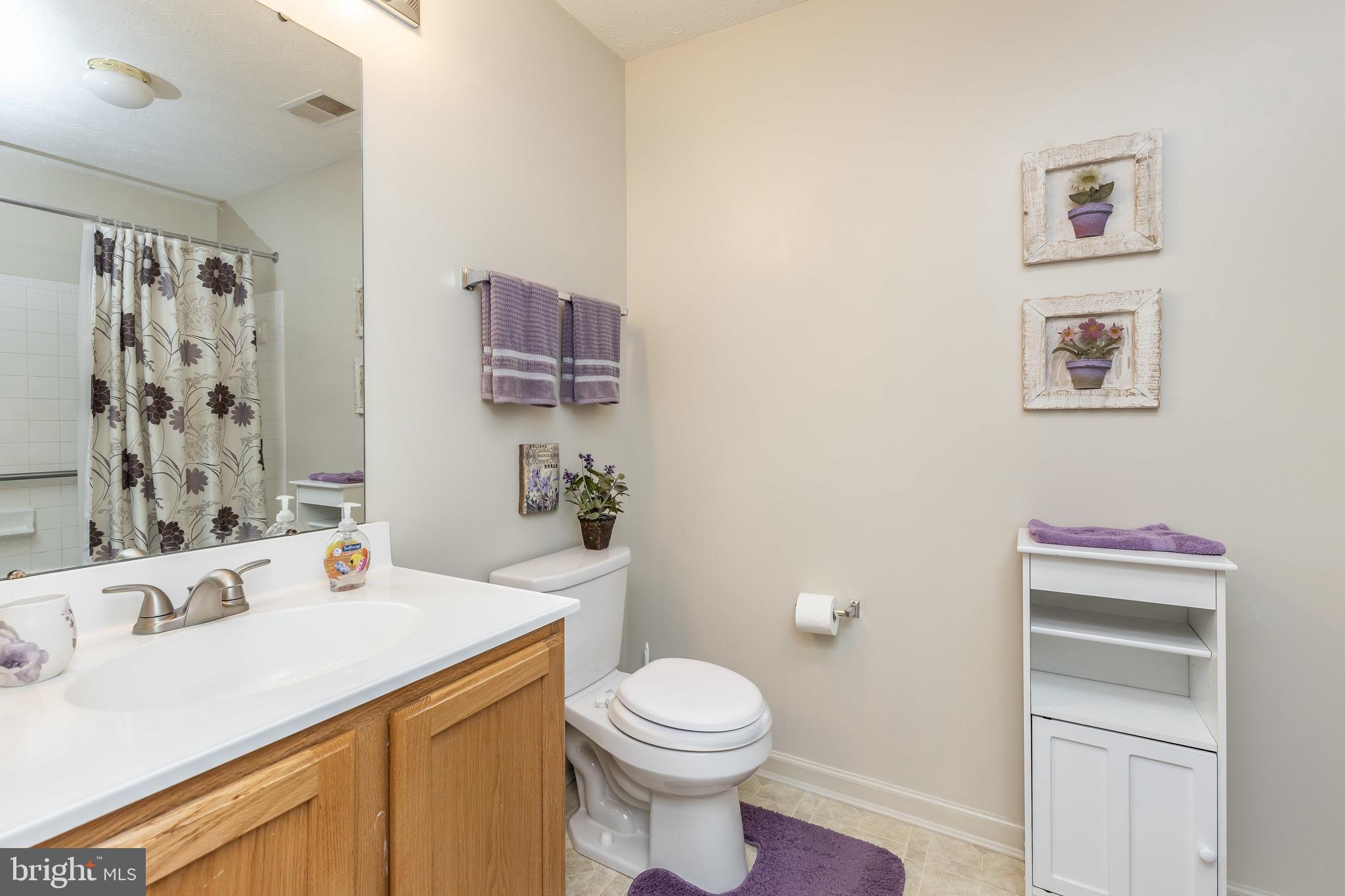 9601 Haven Farm Road, Unit E Perry Hall, MD 21128 - Photo 24 of 30 Master Bath