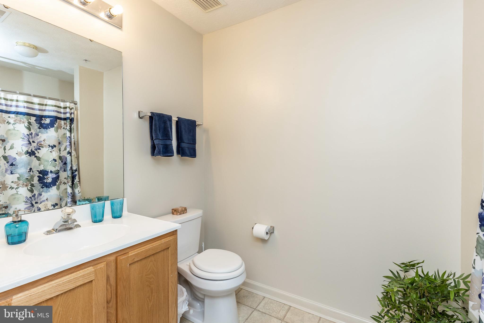 9601 Haven Farm Road, Unit E Perry Hall, MD 21128 - Photo 7 of 30 Full Hallway Bathroom