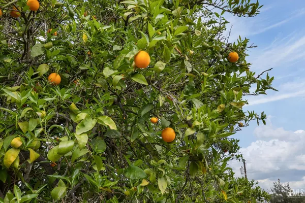 $550,000 | Undisclosed Address, Bakersfield, CA 93309