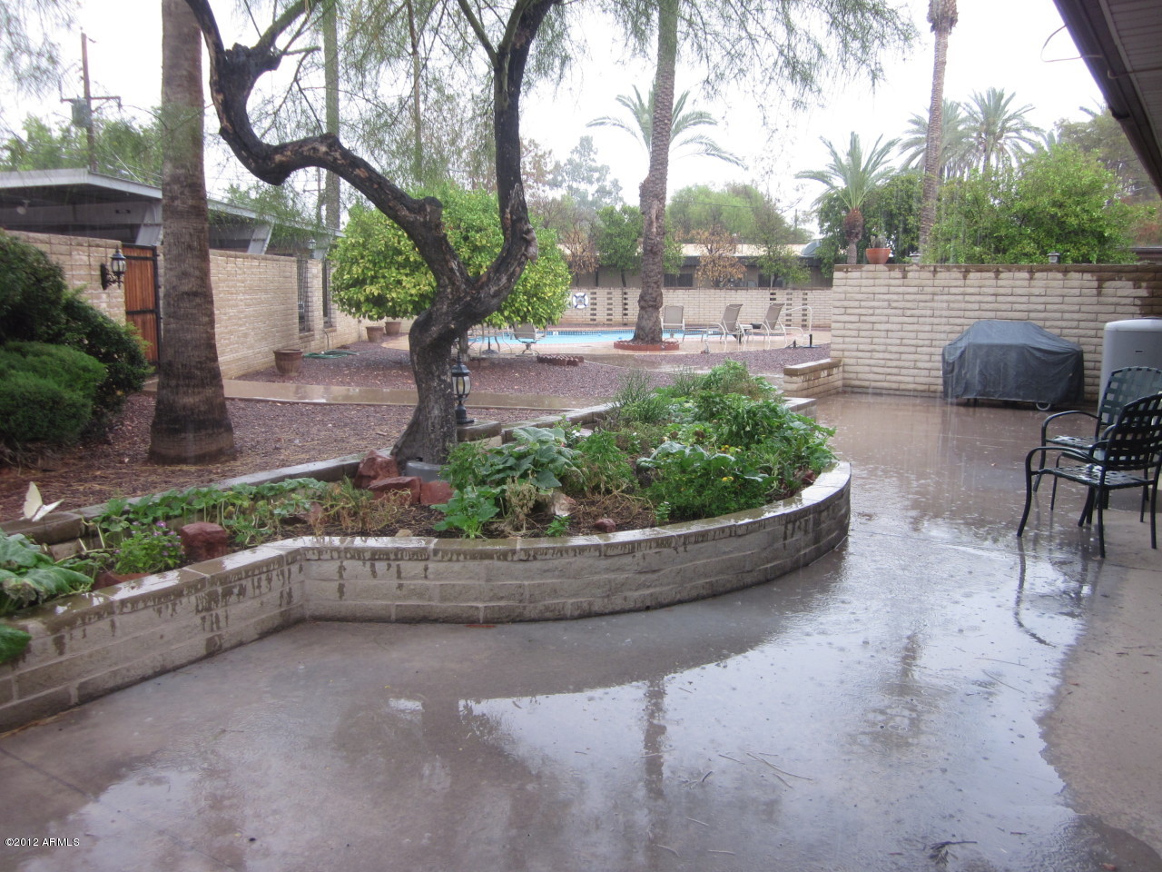3712 East Monterosa Street Phoenix, AZ 85018 - Photo 22 of 28 Backyard patio