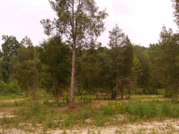 0 Maness Road Seagrove, NC 27341 - Photo 2 of 4