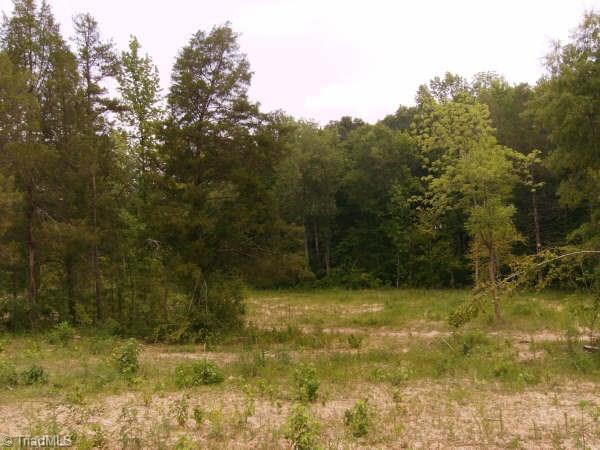 0 Maness Road Seagrove, NC 27341 - Photo 3 of 4