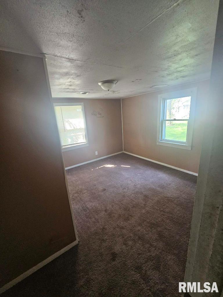 106 Beeson Street Joy, IL 61260 - Photo 6 of 8