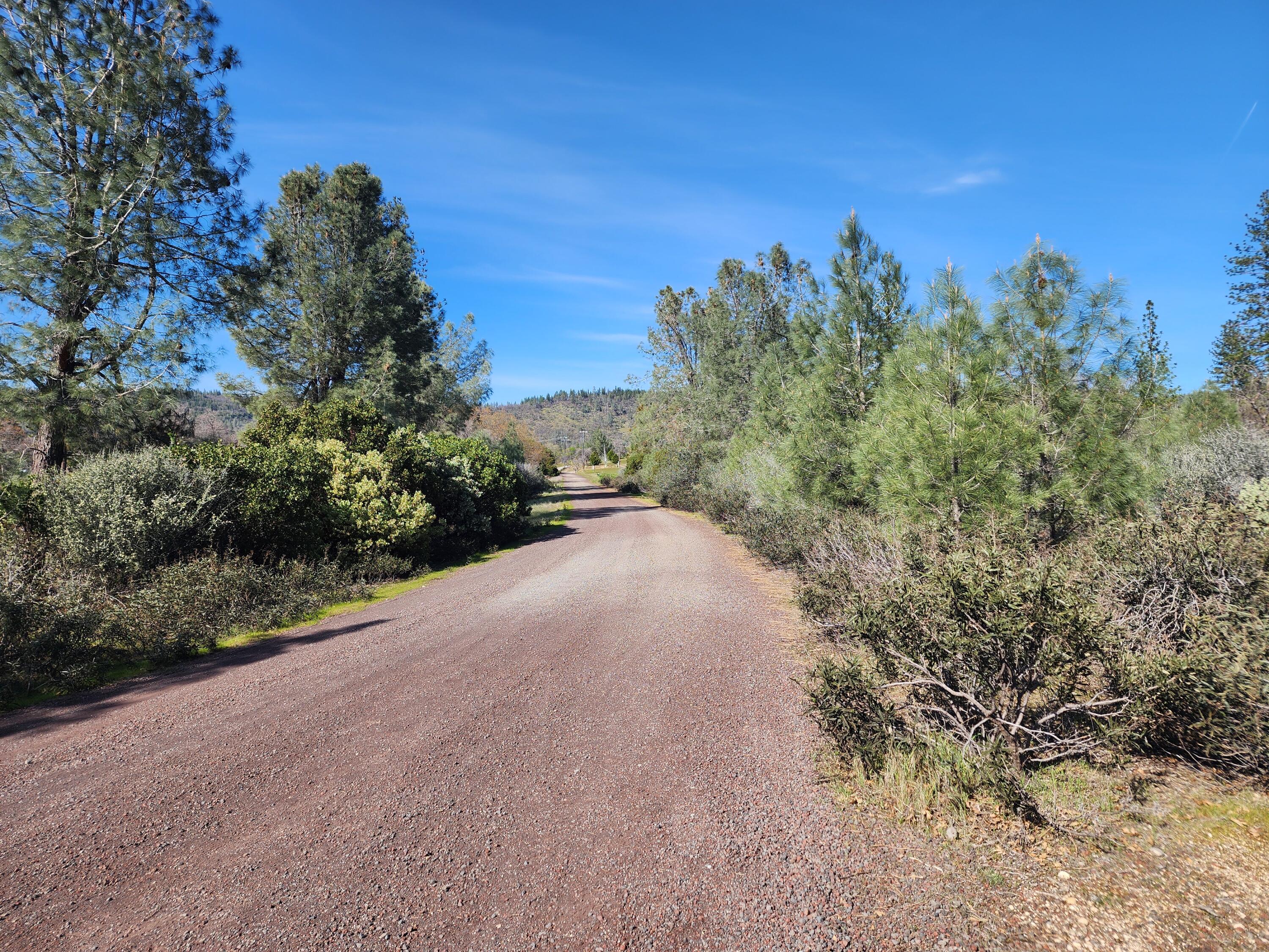 Battle View Drive Manton, CA 96059 - Photo 14 of 16 a view of a road with a building in the background