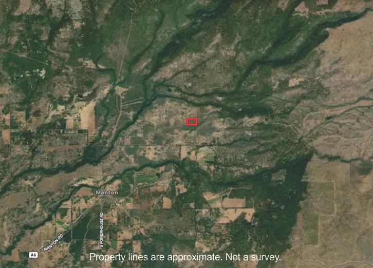 Battle View Drive Manton, CA 96059 - Photo 15 of 16 a view of a tree