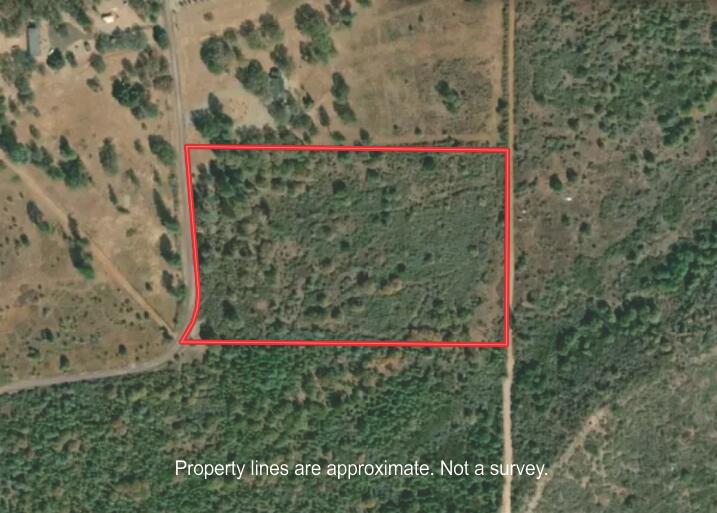 Battle View Drive Manton, CA 96059 - Photo 2 of 16