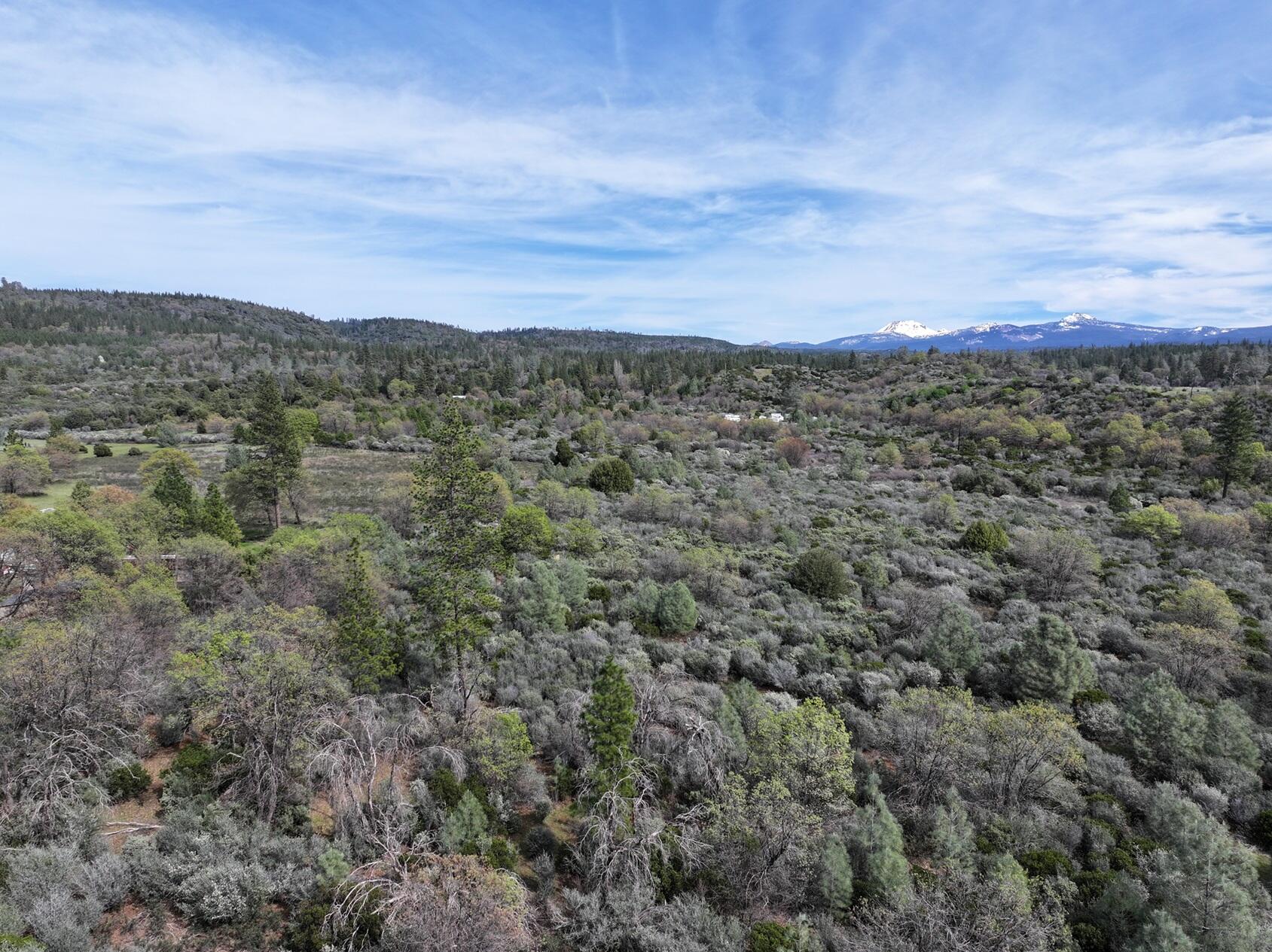 Battle View Drive Manton, CA 96059 - Photo 3 of 16 DJI_20260313141754_0110_D