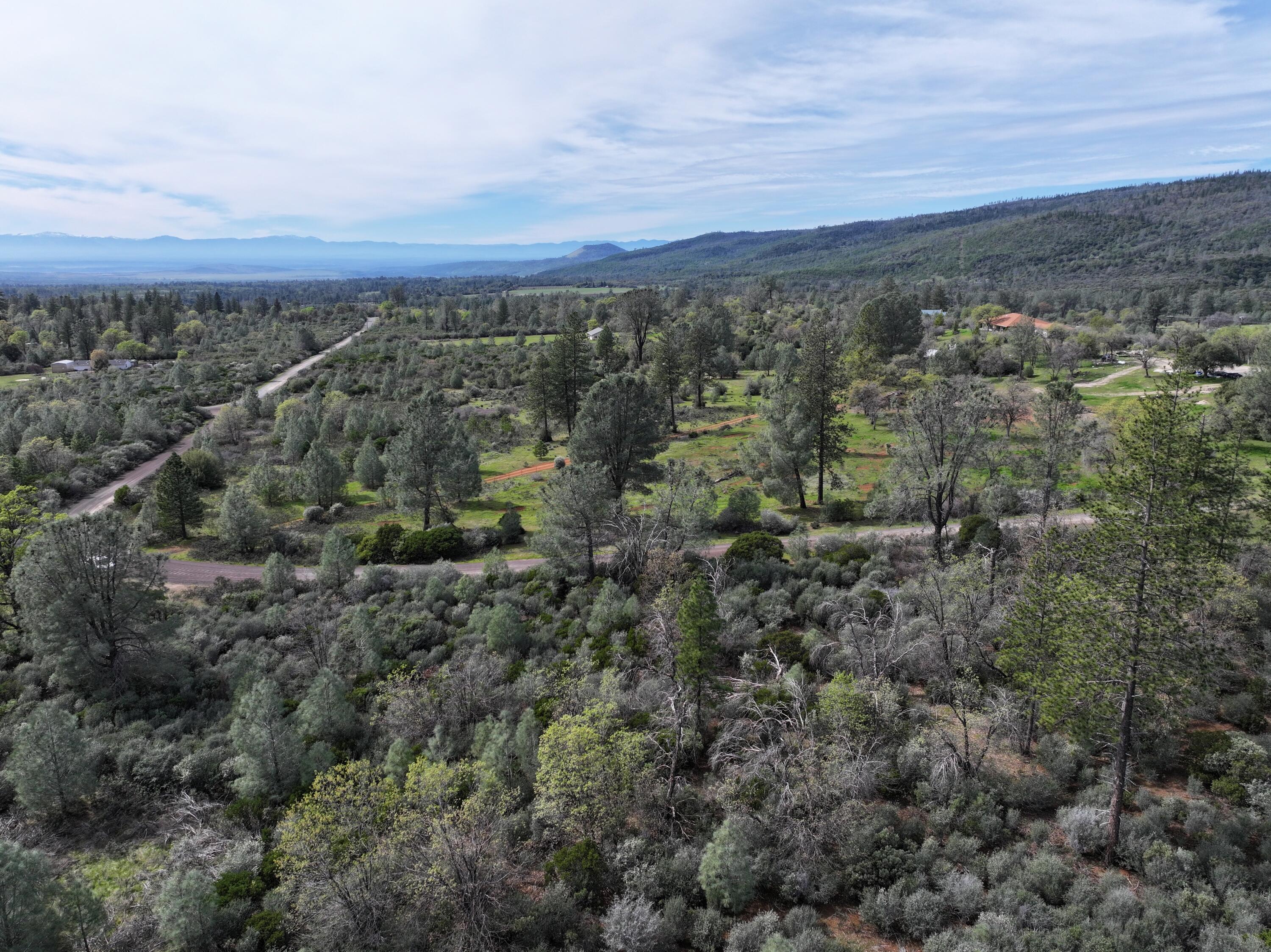 Battle View Drive Manton, CA 96059 - Photo 6 of 16 DJI_20260313141901_0116_D