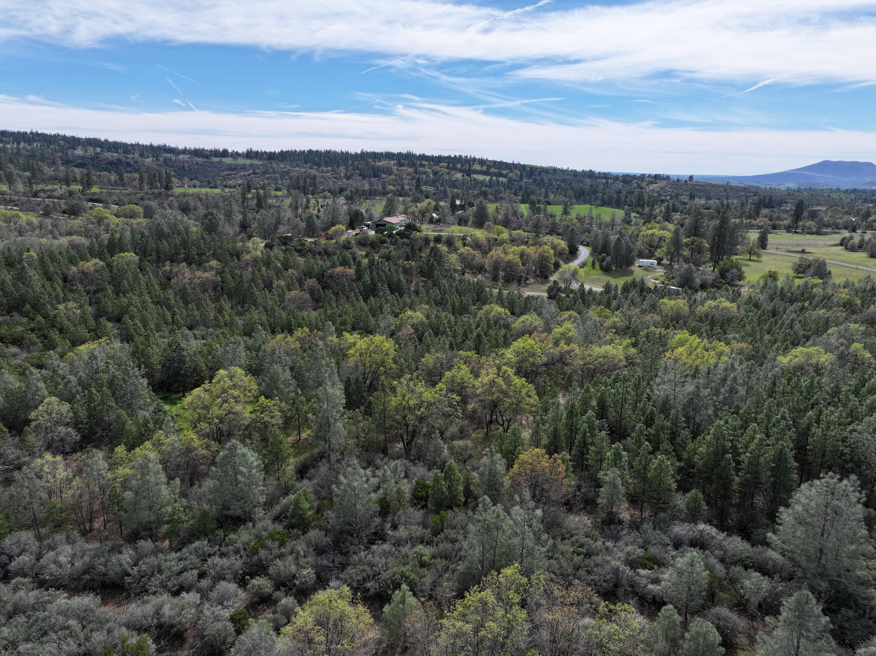 Battle View Drive Manton, CA 96059 - Photo 7 of 16 DJI_20260313141905_0117_D