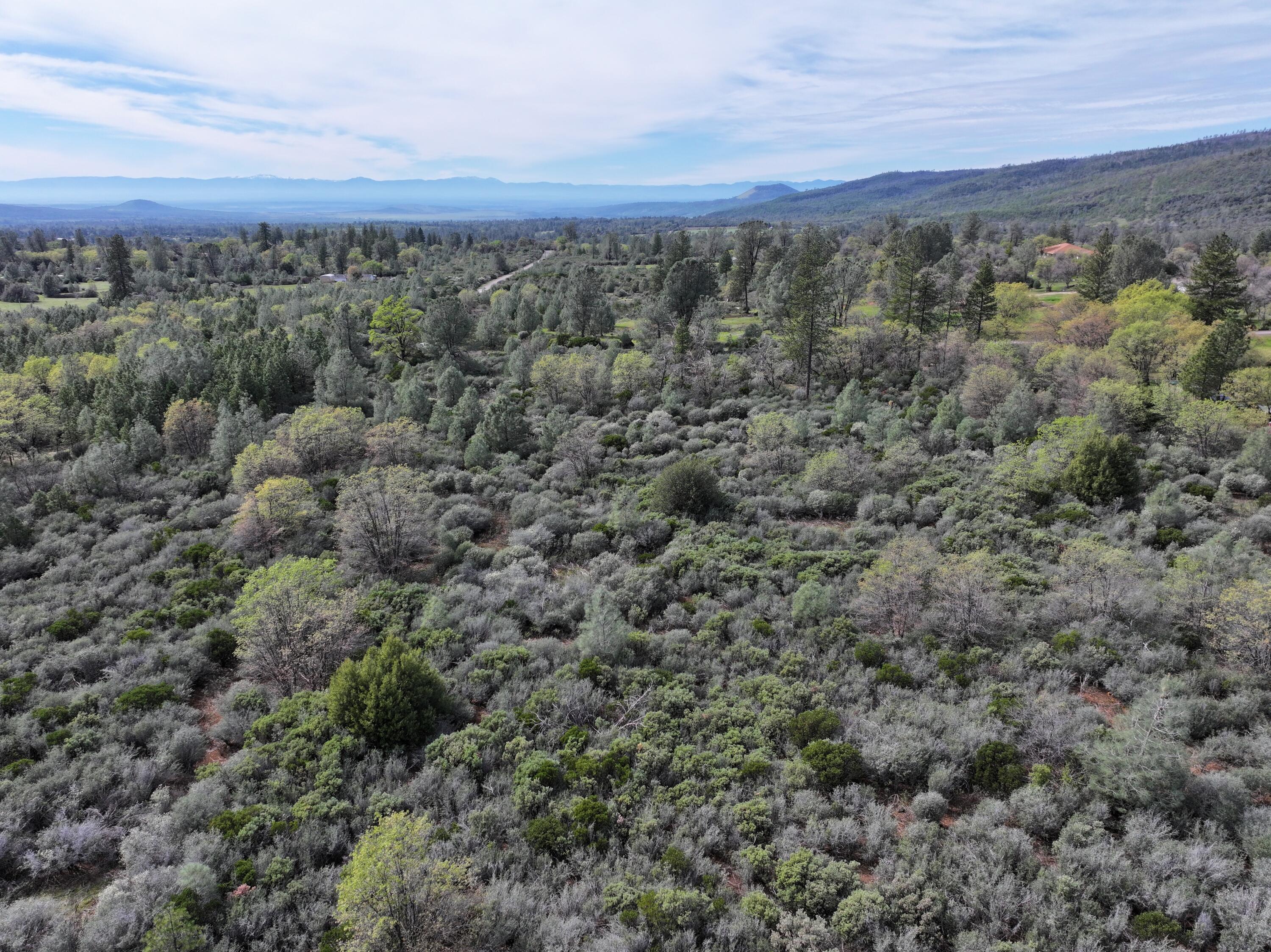 Battle View Drive Manton, CA 96059 - Photo 8 of 16 DJI_20260313141948_0119_D
