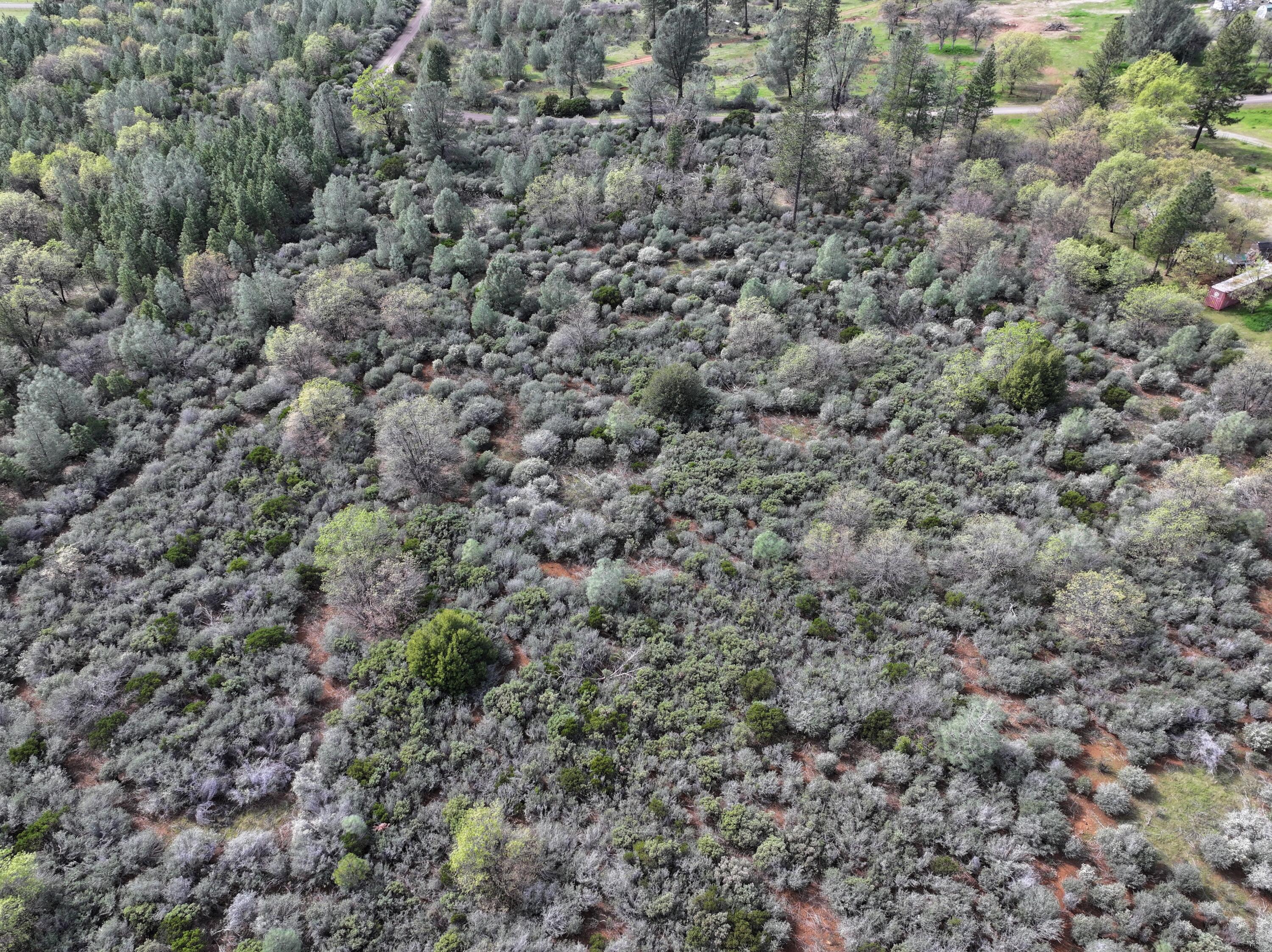 Battle View Drive Manton, CA 96059 - Photo 9 of 16 DJI_20260313142059_0121_D