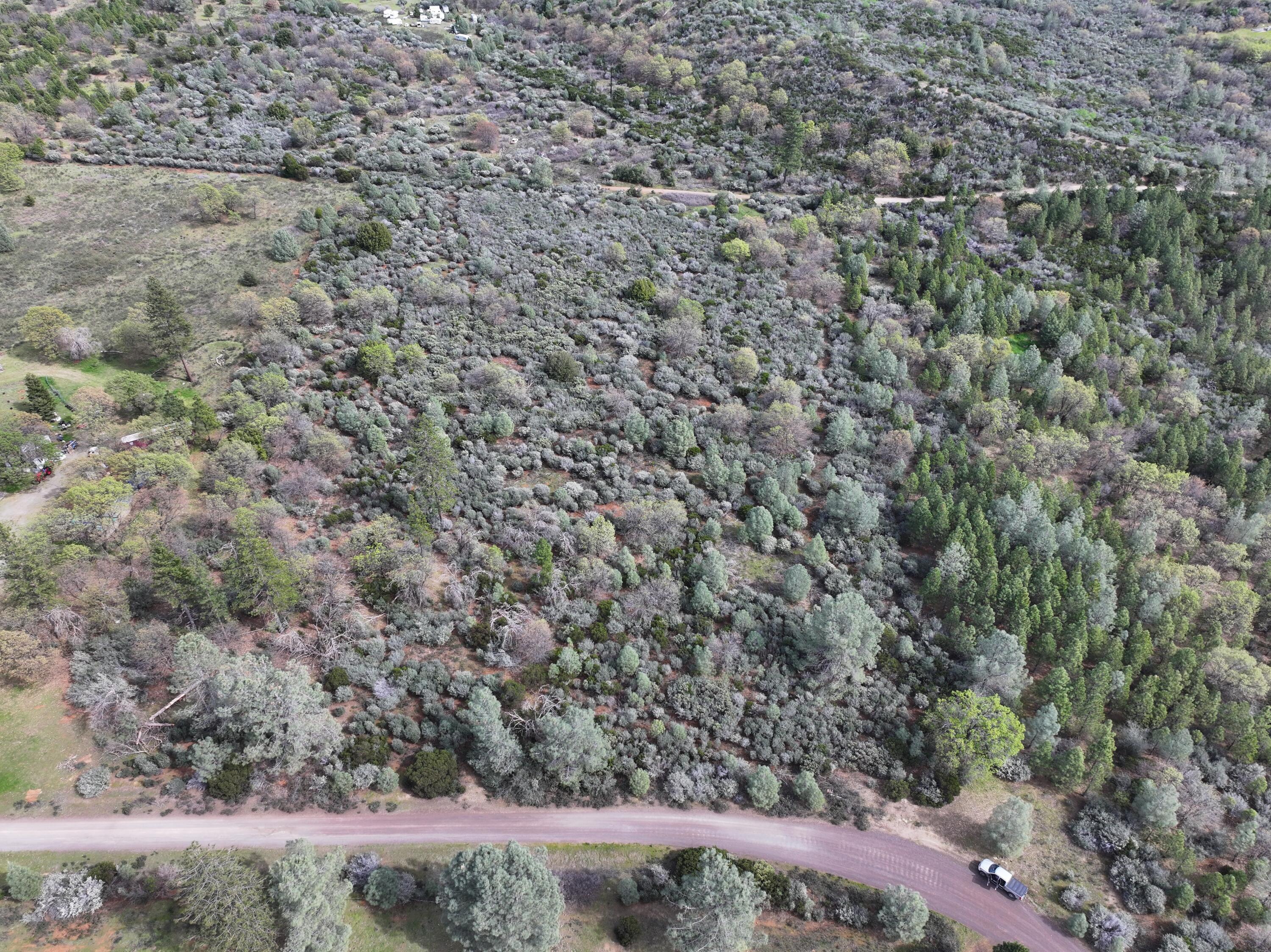 Battle View Drive Manton, CA 96059 - Photo 10 of 16 DJI_20260313142204_0124_D