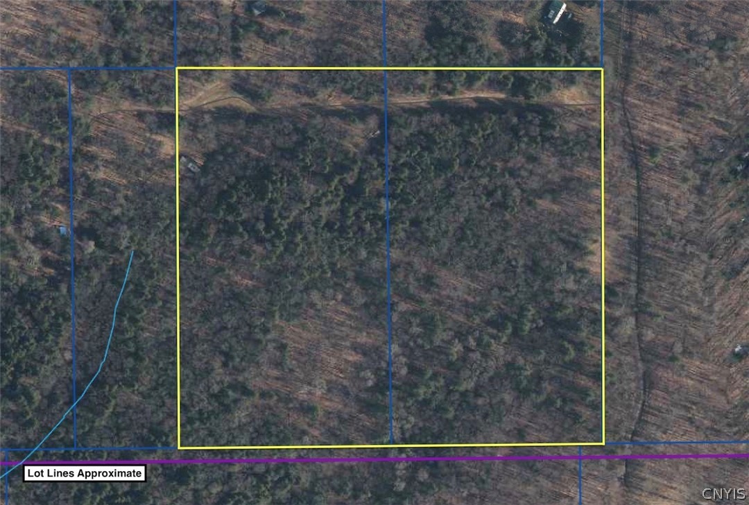 Putt Brook Road Scio, NY 14880 - Photo 5 of 26