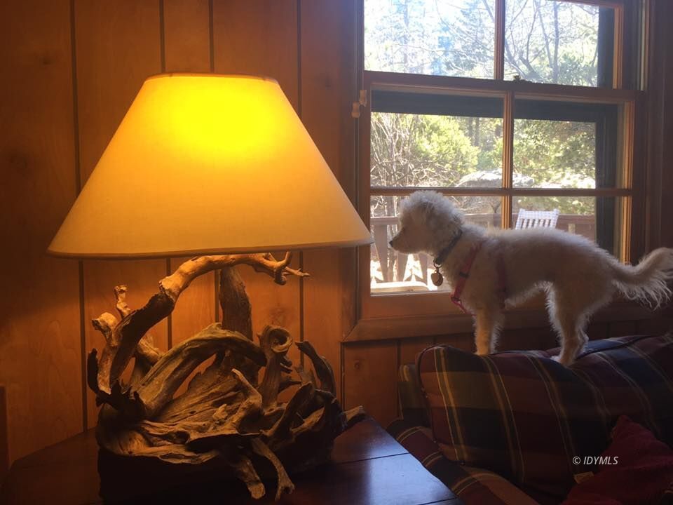 25405 Seneca Road Idyllwild, CA 92549 - Photo 24 of 61 Untitled