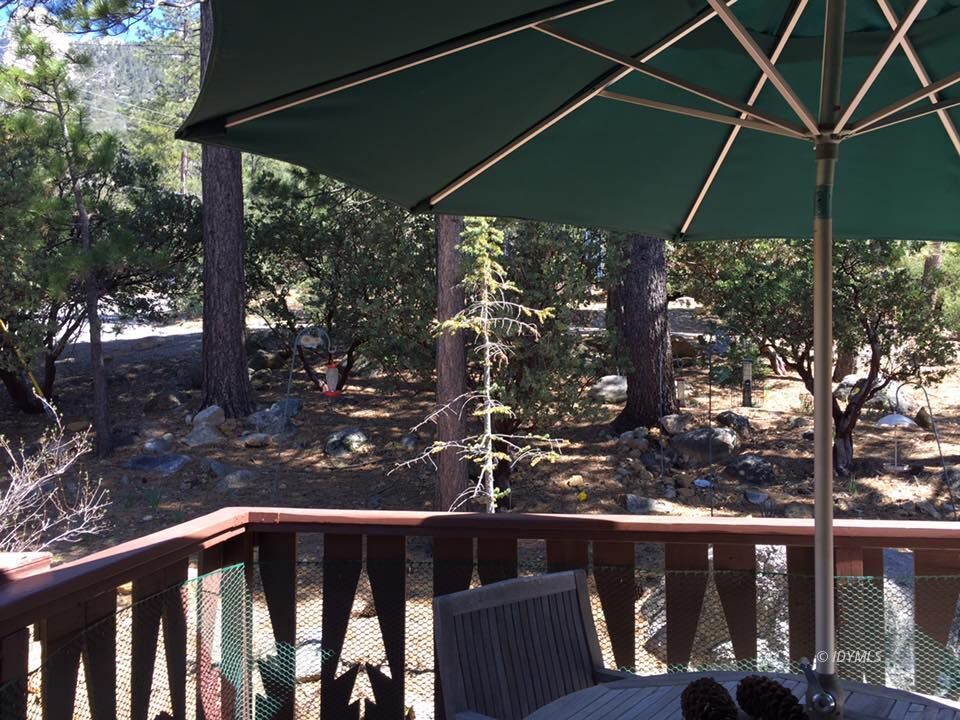 25405 Seneca Road Idyllwild, CA 92549 - Photo 36 of 61 a view of a backyard