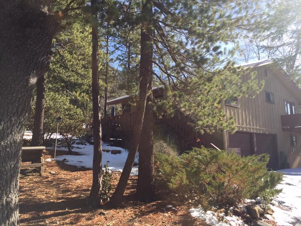 25405 Seneca Road Idyllwild, CA 92549 - Photo 39 of 61 a view of a park with large trees