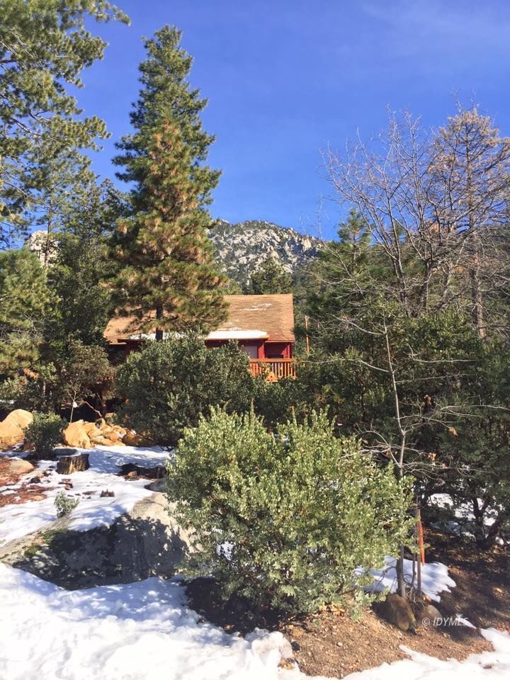 25405 Seneca Road Idyllwild, CA 92549 - Photo 41 of 61 Untitled