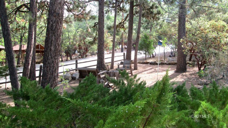 25405 Seneca Road Idyllwild, CA 92549 - Photo 49 of 61 a view of yard with trees