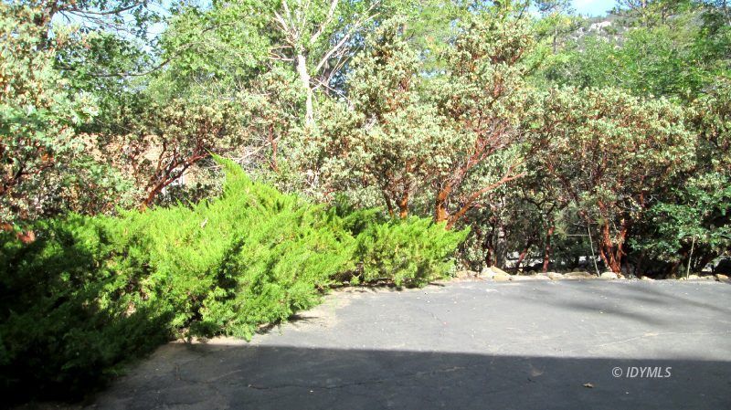 25405 Seneca Road Idyllwild, CA 92549 - Photo 53 of 61 a view of road and with trees