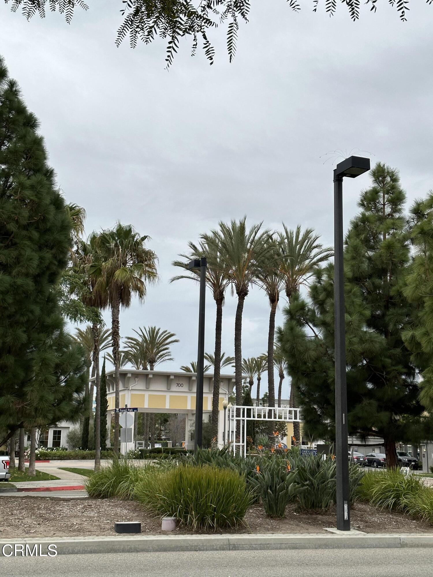 719 Forest Park Boulevard Oxnard, CA 93036 - Photo 37 of 39 a view of a palm trees