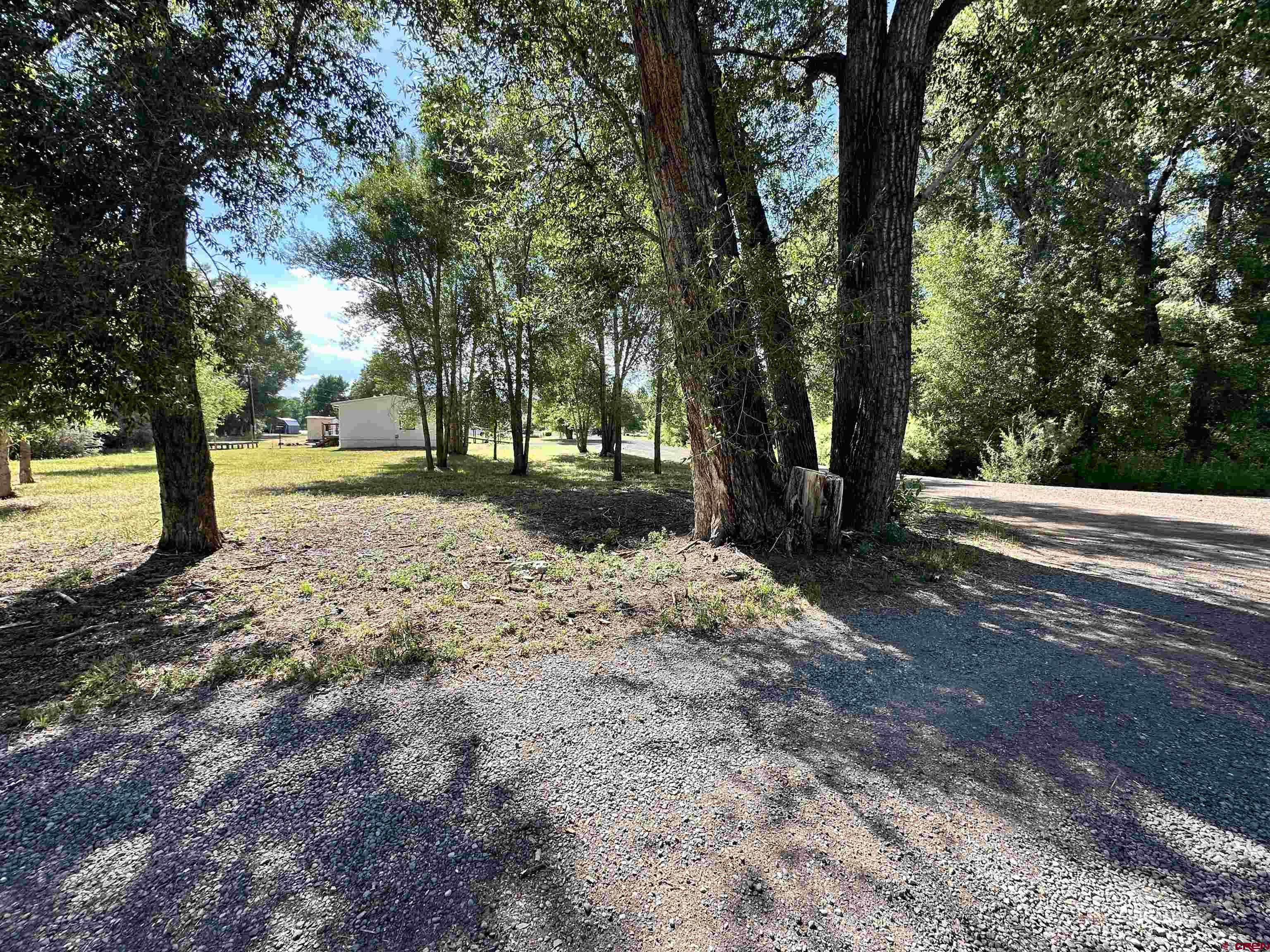468 Rio Grande Road South Fork, CO 81154 - Photo 41 of 43 a view of a yard with plants and trees