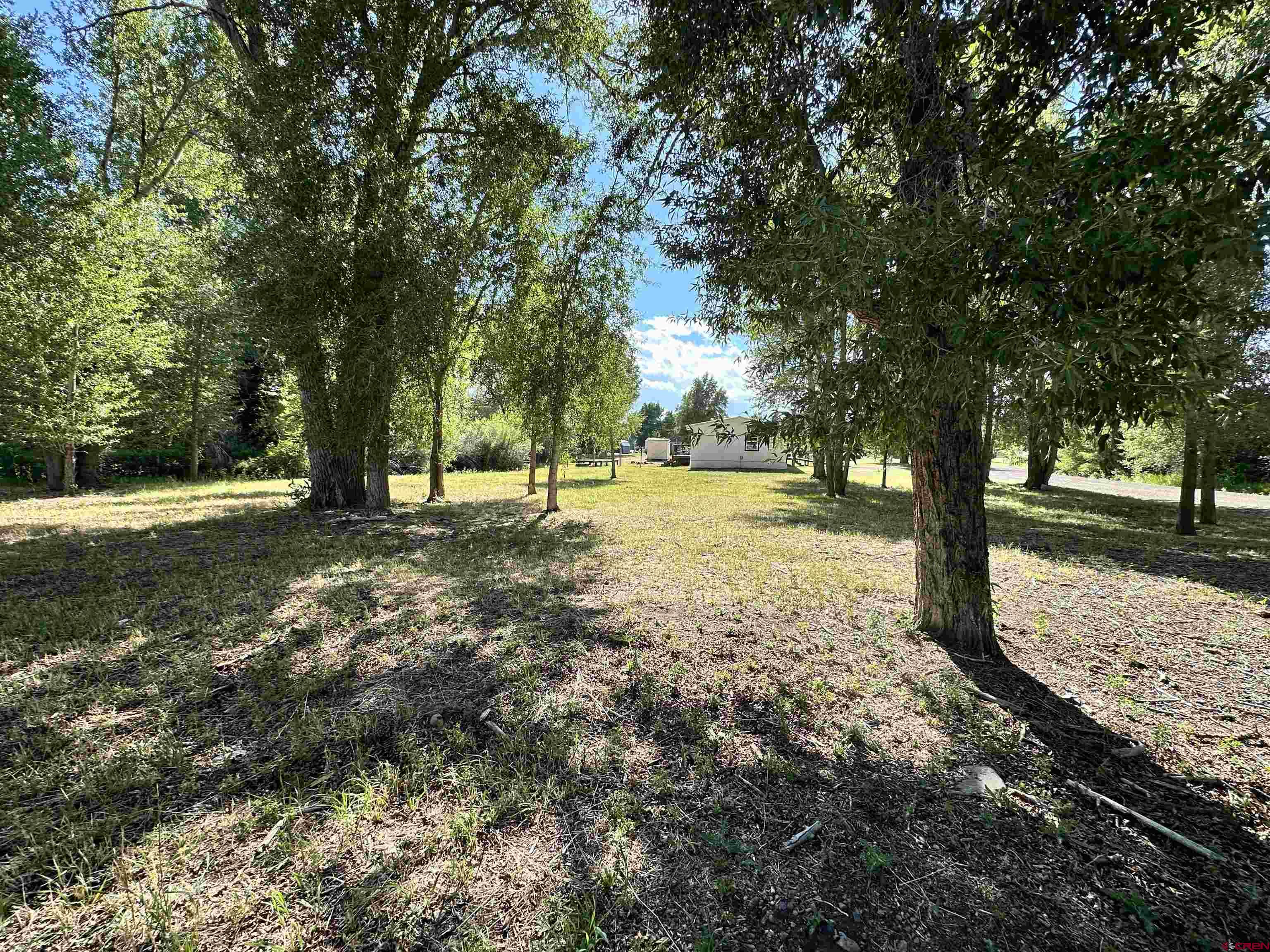 468 Rio Grande Road South Fork, CO 81154 - Photo 42 of 43 a view of yard with tree