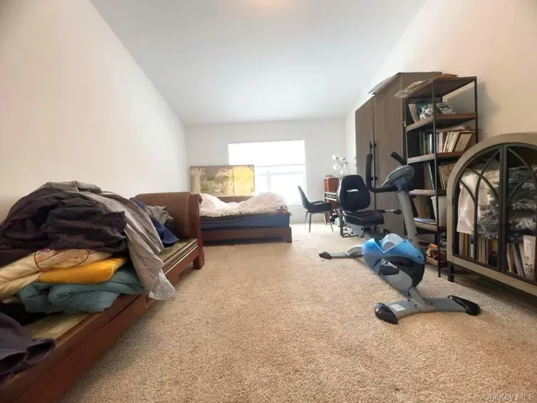 a living room with furniture and a gym machine