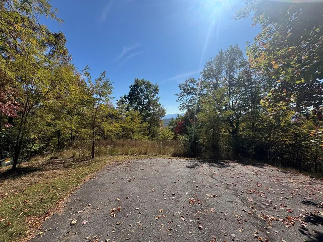 a view of dirt yard with a large tree