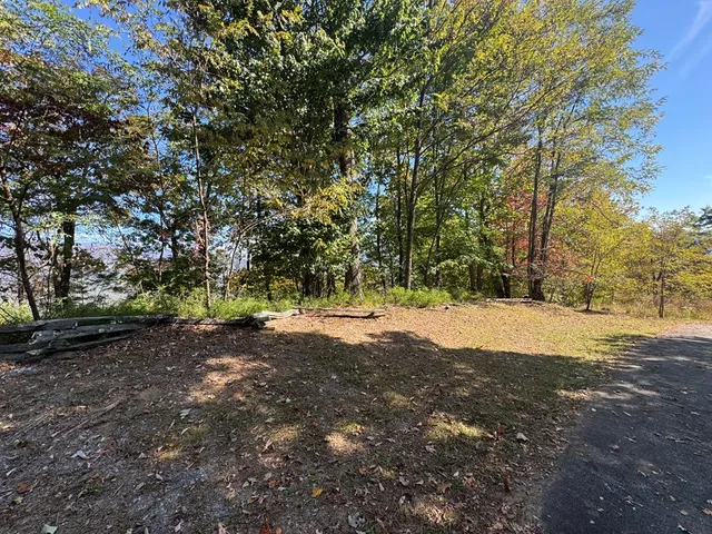 a view of dirt yard with a tree
