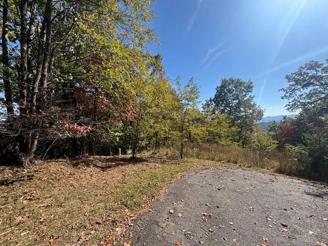 a backyard of a house with a trees