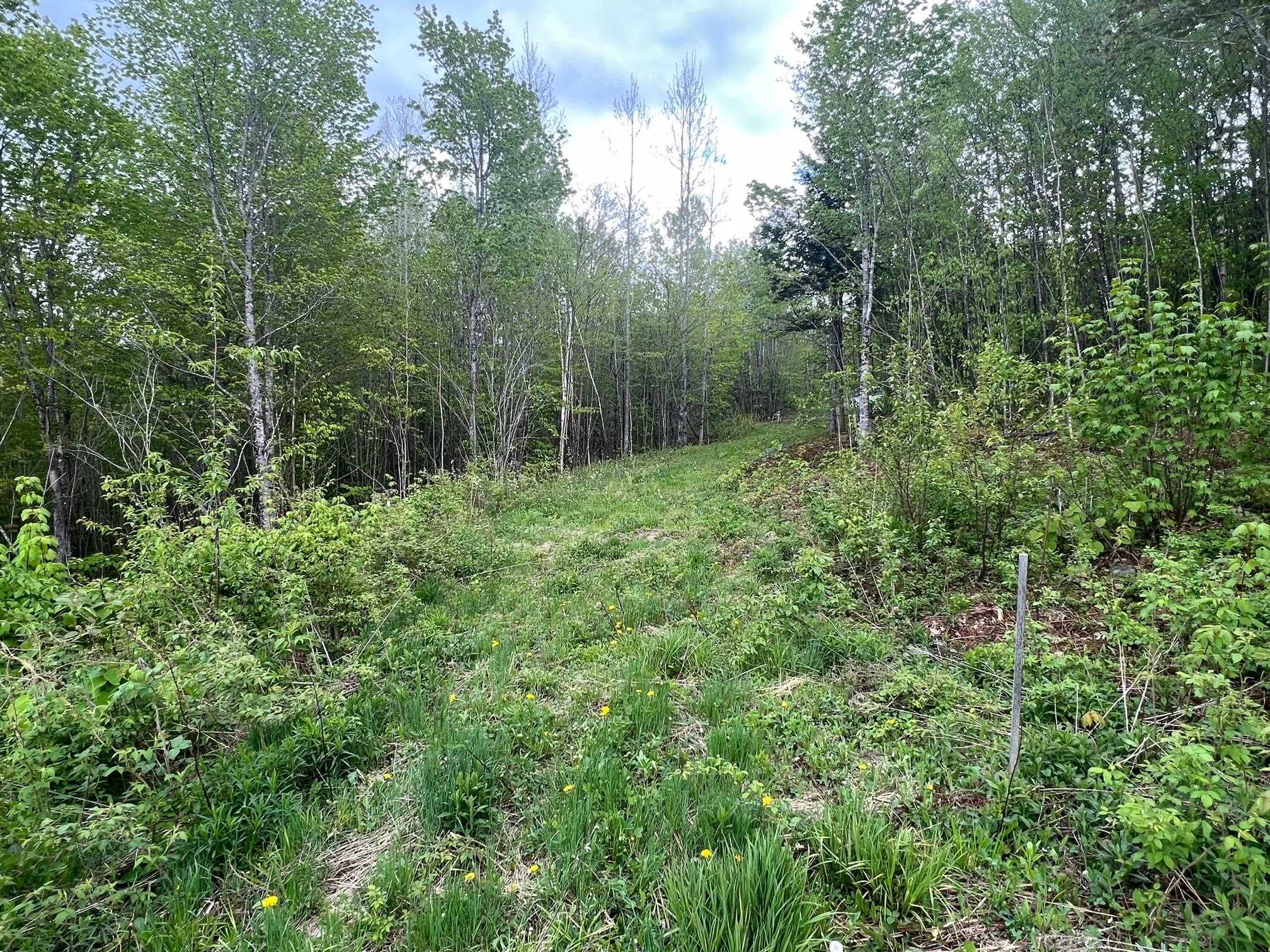 - Bear Mountain Road Clarksville, NH 03592 - Photo 5 of 7 Gallery Image 5