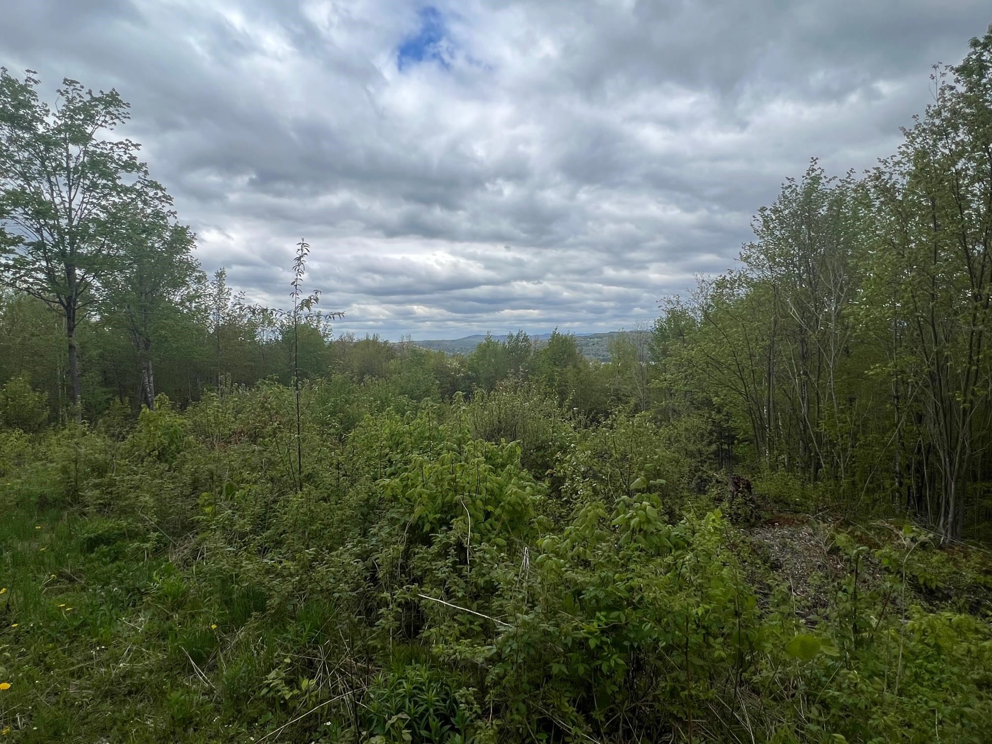 - Bear Mountain Road Clarksville, NH 03592 - Photo 7 of 7 Gallery Image 7